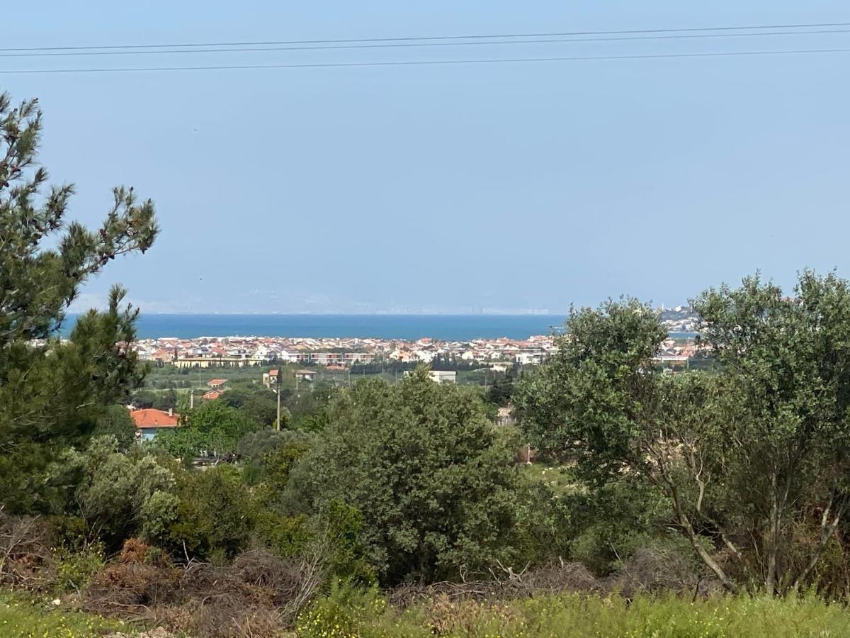 Nefes Urla Bungalov 3 المظهر الخارجي الصورة